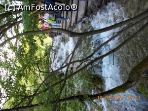 [P53]  -- <small>// FĂRĂ DESCRIERE</small> » foto by elviramvio
 - 
<span class="allrVoted glyphicon glyphicon-heart hidden" id="av869202"></span>
<a class="m-l-10 hidden" id="sv869202" onclick="voting_Foto_DelVot(,869202,412)" role="button">șterge vot <span class="glyphicon glyphicon-remove"></span></a>
<a id="v9869202" class=" c-red"  onclick="voting_Foto_SetVot(869202)" role="button"><span class="glyphicon glyphicon-heart-empty"></span> <b>LIKE</b> = Votează poza</a> <img class="hidden"  id="f869202W9" src="/imagini/loader.gif" border="0" /><span class="AjErrMes hidden" id="e869202ErM"></span>