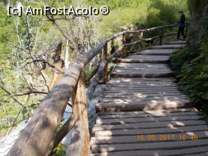 [P55]  -- <small>// FĂRĂ DESCRIERE</small> » foto by elviramvio
 - 
<span class="allrVoted glyphicon glyphicon-heart hidden" id="av869204"></span>
<a class="m-l-10 hidden" id="sv869204" onclick="voting_Foto_DelVot(,869204,412)" role="button">șterge vot <span class="glyphicon glyphicon-remove"></span></a>
<a id="v9869204" class=" c-red"  onclick="voting_Foto_SetVot(869204)" role="button"><span class="glyphicon glyphicon-heart-empty"></span> <b>LIKE</b> = Votează poza</a> <img class="hidden"  id="f869204W9" src="/imagini/loader.gif" border="0" /><span class="AjErrMes hidden" id="e869204ErM"></span>