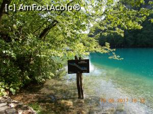 [P59]  -- <small>// FĂRĂ DESCRIERE</small> » foto by elviramvio
 - 
<span class="allrVoted glyphicon glyphicon-heart hidden" id="av869208"></span>
<a class="m-l-10 hidden" id="sv869208" onclick="voting_Foto_DelVot(,869208,412)" role="button">șterge vot <span class="glyphicon glyphicon-remove"></span></a>
<a id="v9869208" class=" c-red"  onclick="voting_Foto_SetVot(869208)" role="button"><span class="glyphicon glyphicon-heart-empty"></span> <b>LIKE</b> = Votează poza</a> <img class="hidden"  id="f869208W9" src="/imagini/loader.gif" border="0" /><span class="AjErrMes hidden" id="e869208ErM"></span>