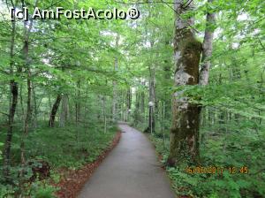 [P06] Prin parc, de la intrarea 2 spre debarcader.  » foto by elviramvio
 - 
<span class="allrVoted glyphicon glyphicon-heart hidden" id="av869155"></span>
<a class="m-l-10 hidden" id="sv869155" onclick="voting_Foto_DelVot(,869155,412)" role="button">șterge vot <span class="glyphicon glyphicon-remove"></span></a>
<a id="v9869155" class=" c-red"  onclick="voting_Foto_SetVot(869155)" role="button"><span class="glyphicon glyphicon-heart-empty"></span> <b>LIKE</b> = Votează poza</a> <img class="hidden"  id="f869155W9" src="/imagini/loader.gif" border="0" /><span class="AjErrMes hidden" id="e869155ErM"></span>