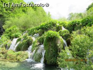 [P01]  -- <small>// FĂRĂ DESCRIERE</small> » foto by elviramvio
 - 
<span class="allrVoted glyphicon glyphicon-heart hidden" id="av1069188"></span>
<a class="m-l-10 hidden" id="sv1069188" onclick="voting_Foto_DelVot(,1069188,412)" role="button">șterge vot <span class="glyphicon glyphicon-remove"></span></a>
<a id="v91069188" class=" c-red"  onclick="voting_Foto_SetVot(1069188)" role="button"><span class="glyphicon glyphicon-heart-empty"></span> <b>LIKE</b> = Votează poza</a> <img class="hidden"  id="f1069188W9" src="/imagini/loader.gif" border="0" /><span class="AjErrMes hidden" id="e1069188ErM"></span>