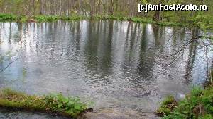 [P15] Oglinda » foto by GIN2015*
 - 
<span class="allrVoted glyphicon glyphicon-heart hidden" id="av659173"></span>
<a class="m-l-10 hidden" id="sv659173" onclick="voting_Foto_DelVot(,659173,412)" role="button">șterge vot <span class="glyphicon glyphicon-remove"></span></a>
<a id="v9659173" class=" c-red"  onclick="voting_Foto_SetVot(659173)" role="button"><span class="glyphicon glyphicon-heart-empty"></span> <b>LIKE</b> = Votează poza</a> <img class="hidden"  id="f659173W9" src="/imagini/loader.gif" border="0" /><span class="AjErrMes hidden" id="e659173ErM"></span>