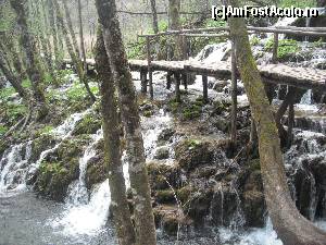 [P20] Printre ape, Plitvice » foto by GIN2015*
 - 
<span class="allrVoted glyphicon glyphicon-heart hidden" id="av659180"></span>
<a class="m-l-10 hidden" id="sv659180" onclick="voting_Foto_DelVot(,659180,412)" role="button">șterge vot <span class="glyphicon glyphicon-remove"></span></a>
<a id="v9659180" class=" c-red"  onclick="voting_Foto_SetVot(659180)" role="button"><span class="glyphicon glyphicon-heart-empty"></span> <b>LIKE</b> = Votează poza</a> <img class="hidden"  id="f659180W9" src="/imagini/loader.gif" border="0" /><span class="AjErrMes hidden" id="e659180ErM"></span>