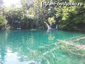 [P01]  -- <small>// FĂRĂ DESCRIERE</small> » foto by nini83
 - 
<span class="allrVoted glyphicon glyphicon-heart hidden" id="av661736"></span>
<a class="m-l-10 hidden" id="sv661736" onclick="voting_Foto_DelVot(,661736,412)" role="button">șterge vot <span class="glyphicon glyphicon-remove"></span></a>
<a id="v9661736" class=" c-red"  onclick="voting_Foto_SetVot(661736)" role="button"><span class="glyphicon glyphicon-heart-empty"></span> <b>LIKE</b> = Votează poza</a> <img class="hidden"  id="f661736W9" src="/imagini/loader.gif" border="0" /><span class="AjErrMes hidden" id="e661736ErM"></span>