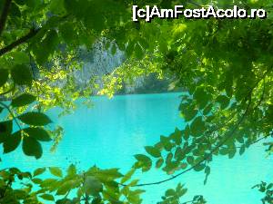 [P11]  -- <small>// FĂRĂ DESCRIERE</small> » foto by nini83
 - 
<span class="allrVoted glyphicon glyphicon-heart hidden" id="av661747"></span>
<a class="m-l-10 hidden" id="sv661747" onclick="voting_Foto_DelVot(,661747,412)" role="button">șterge vot <span class="glyphicon glyphicon-remove"></span></a>
<a id="v9661747" class=" c-red"  onclick="voting_Foto_SetVot(661747)" role="button"><span class="glyphicon glyphicon-heart-empty"></span> <b>LIKE</b> = Votează poza</a> <img class="hidden"  id="f661747W9" src="/imagini/loader.gif" border="0" /><span class="AjErrMes hidden" id="e661747ErM"></span>