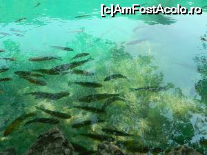 [P12]  -- <small>// FĂRĂ DESCRIERE</small> » foto by nini83
 - 
<span class="allrVoted glyphicon glyphicon-heart hidden" id="av661748"></span>
<a class="m-l-10 hidden" id="sv661748" onclick="voting_Foto_DelVot(,661748,412)" role="button">șterge vot <span class="glyphicon glyphicon-remove"></span></a>
<a id="v9661748" class=" c-red"  onclick="voting_Foto_SetVot(661748)" role="button"><span class="glyphicon glyphicon-heart-empty"></span> <b>LIKE</b> = Votează poza</a> <img class="hidden"  id="f661748W9" src="/imagini/loader.gif" border="0" /><span class="AjErrMes hidden" id="e661748ErM"></span>