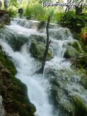 [P13]  -- <small>// FĂRĂ DESCRIERE</small> » foto by nini83
 - 
<span class="allrVoted glyphicon glyphicon-heart hidden" id="av661749"></span>
<a class="m-l-10 hidden" id="sv661749" onclick="voting_Foto_DelVot(,661749,412)" role="button">șterge vot <span class="glyphicon glyphicon-remove"></span></a>
<a id="v9661749" class=" c-red"  onclick="voting_Foto_SetVot(661749)" role="button"><span class="glyphicon glyphicon-heart-empty"></span> <b>LIKE</b> = Votează poza</a> <img class="hidden"  id="f661749W9" src="/imagini/loader.gif" border="0" /><span class="AjErrMes hidden" id="e661749ErM"></span>