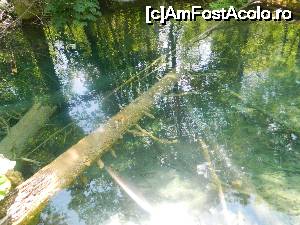 [P18]  -- <small>// FĂRĂ DESCRIERE</small> » foto by nini83
 - 
<span class="allrVoted glyphicon glyphicon-heart hidden" id="av661756"></span>
<a class="m-l-10 hidden" id="sv661756" onclick="voting_Foto_DelVot(,661756,412)" role="button">șterge vot <span class="glyphicon glyphicon-remove"></span></a>
<a id="v9661756" class=" c-red"  onclick="voting_Foto_SetVot(661756)" role="button"><span class="glyphicon glyphicon-heart-empty"></span> <b>LIKE</b> = Votează poza</a> <img class="hidden"  id="f661756W9" src="/imagini/loader.gif" border="0" /><span class="AjErrMes hidden" id="e661756ErM"></span>