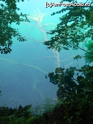 [P21]  -- <small>// FĂRĂ DESCRIERE</small> » foto by nini83
 - 
<span class="allrVoted glyphicon glyphicon-heart hidden" id="av661759"></span>
<a class="m-l-10 hidden" id="sv661759" onclick="voting_Foto_DelVot(,661759,412)" role="button">șterge vot <span class="glyphicon glyphicon-remove"></span></a>
<a id="v9661759" class=" c-red"  onclick="voting_Foto_SetVot(661759)" role="button"><span class="glyphicon glyphicon-heart-empty"></span> <b>LIKE</b> = Votează poza</a> <img class="hidden"  id="f661759W9" src="/imagini/loader.gif" border="0" /><span class="AjErrMes hidden" id="e661759ErM"></span>