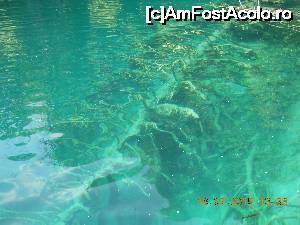 [P08]  -- <small>// FĂRĂ DESCRIERE</small> » foto by nini83
 - 
<span class="allrVoted glyphicon glyphicon-heart hidden" id="av661744"></span>
<a class="m-l-10 hidden" id="sv661744" onclick="voting_Foto_DelVot(,661744,412)" role="button">șterge vot <span class="glyphicon glyphicon-remove"></span></a>
<a id="v9661744" class=" c-red"  onclick="voting_Foto_SetVot(661744)" role="button"><span class="glyphicon glyphicon-heart-empty"></span> <b>LIKE</b> = Votează poza</a> <img class="hidden"  id="f661744W9" src="/imagini/loader.gif" border="0" /><span class="AjErrMes hidden" id="e661744ErM"></span>