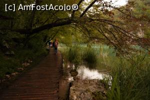 [P10] Ții podețul de lemn și înaintezi urmându-i pe ceilalți » foto by Maya_C
 - 
<span class="allrVoted glyphicon glyphicon-heart hidden" id="av1012991"></span>
<a class="m-l-10 hidden" id="sv1012991" onclick="voting_Foto_DelVot(,1012991,412)" role="button">șterge vot <span class="glyphicon glyphicon-remove"></span></a>
<a id="v91012991" class=" c-red"  onclick="voting_Foto_SetVot(1012991)" role="button"><span class="glyphicon glyphicon-heart-empty"></span> <b>LIKE</b> = Votează poza</a> <img class="hidden"  id="f1012991W9" src="/imagini/loader.gif" border="0" /><span class="AjErrMes hidden" id="e1012991ErM"></span>