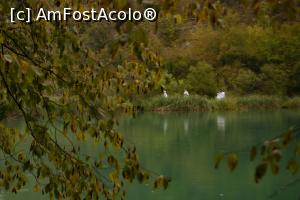 [P12] Începem și glumim amintind de uniformele templierilor » foto by Maya_C
 - 
<span class="allrVoted glyphicon glyphicon-heart hidden" id="av1012993"></span>
<a class="m-l-10 hidden" id="sv1012993" onclick="voting_Foto_DelVot(,1012993,412)" role="button">șterge vot <span class="glyphicon glyphicon-remove"></span></a>
<a id="v91012993" class=" c-red"  onclick="voting_Foto_SetVot(1012993)" role="button"><span class="glyphicon glyphicon-heart-empty"></span> <b>LIKE</b> = Votează poza</a> <img class="hidden"  id="f1012993W9" src="/imagini/loader.gif" border="0" /><span class="AjErrMes hidden" id="e1012993ErM"></span>