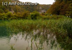 [P13] Noi... suntem colorați » foto by Maya_C
 - 
<span class="allrVoted glyphicon glyphicon-heart hidden" id="av1012994"></span>
<a class="m-l-10 hidden" id="sv1012994" onclick="voting_Foto_DelVot(,1012994,412)" role="button">șterge vot <span class="glyphicon glyphicon-remove"></span></a>
<a id="v91012994" class=" c-red"  onclick="voting_Foto_SetVot(1012994)" role="button"><span class="glyphicon glyphicon-heart-empty"></span> <b>LIKE</b> = Votează poza</a> <img class="hidden"  id="f1012994W9" src="/imagini/loader.gif" border="0" /><span class="AjErrMes hidden" id="e1012994ErM"></span>