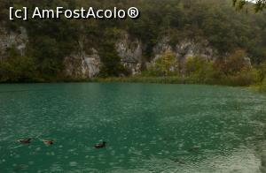 [P02] apă din toate directiile » foto by Maya_C
 - 
<span class="allrVoted glyphicon glyphicon-heart hidden" id="av1012983"></span>
<a class="m-l-10 hidden" id="sv1012983" onclick="voting_Foto_DelVot(,1012983,412)" role="button">șterge vot <span class="glyphicon glyphicon-remove"></span></a>
<a id="v91012983" class=" c-red"  onclick="voting_Foto_SetVot(1012983)" role="button"><span class="glyphicon glyphicon-heart-empty"></span> <b>LIKE</b> = Votează poza</a> <img class="hidden"  id="f1012983W9" src="/imagini/loader.gif" border="0" /><span class="AjErrMes hidden" id="e1012983ErM"></span>