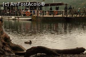 [P24] Nu am încăput în primul, l-am luat pe următorul.  » foto by Maya_C
 - 
<span class="allrVoted glyphicon glyphicon-heart hidden" id="av1013005"></span>
<a class="m-l-10 hidden" id="sv1013005" onclick="voting_Foto_DelVot(,1013005,412)" role="button">șterge vot <span class="glyphicon glyphicon-remove"></span></a>
<a id="v91013005" class=" c-red"  onclick="voting_Foto_SetVot(1013005)" role="button"><span class="glyphicon glyphicon-heart-empty"></span> <b>LIKE</b> = Votează poza</a> <img class="hidden"  id="f1013005W9" src="/imagini/loader.gif" border="0" /><span class="AjErrMes hidden" id="e1013005ErM"></span>