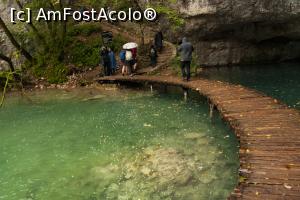 [P04] spre peștera cu lilieci » foto by Maya_C
 - 
<span class="allrVoted glyphicon glyphicon-heart hidden" id="av1012985"></span>
<a class="m-l-10 hidden" id="sv1012985" onclick="voting_Foto_DelVot(,1012985,412)" role="button">șterge vot <span class="glyphicon glyphicon-remove"></span></a>
<a id="v91012985" class=" c-red"  onclick="voting_Foto_SetVot(1012985)" role="button"><span class="glyphicon glyphicon-heart-empty"></span> <b>LIKE</b> = Votează poza</a> <img class="hidden"  id="f1012985W9" src="/imagini/loader.gif" border="0" /><span class="AjErrMes hidden" id="e1012985ErM"></span>