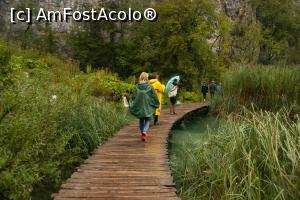 [P09] Alegem acum s-o luăm pe traseul spre stânga » foto by Maya_C
 - 
<span class="allrVoted glyphicon glyphicon-heart hidden" id="av1012990"></span>
<a class="m-l-10 hidden" id="sv1012990" onclick="voting_Foto_DelVot(,1012990,412)" role="button">șterge vot <span class="glyphicon glyphicon-remove"></span></a>
<a id="v91012990" class=" c-red"  onclick="voting_Foto_SetVot(1012990)" role="button"><span class="glyphicon glyphicon-heart-empty"></span> <b>LIKE</b> = Votează poza</a> <img class="hidden"  id="f1012990W9" src="/imagini/loader.gif" border="0" /><span class="AjErrMes hidden" id="e1012990ErM"></span>