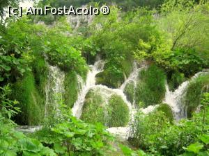 [P05]  -- <small>// FĂRĂ DESCRIERE</small> » foto by simplegirl
 - 
<span class="allrVoted glyphicon glyphicon-heart hidden" id="av769294"></span>
<a class="m-l-10 hidden" id="sv769294" onclick="voting_Foto_DelVot(,769294,412)" role="button">șterge vot <span class="glyphicon glyphicon-remove"></span></a>
<a id="v9769294" class=" c-red"  onclick="voting_Foto_SetVot(769294)" role="button"><span class="glyphicon glyphicon-heart-empty"></span> <b>LIKE</b> = Votează poza</a> <img class="hidden"  id="f769294W9" src="/imagini/loader.gif" border="0" /><span class="AjErrMes hidden" id="e769294ErM"></span>