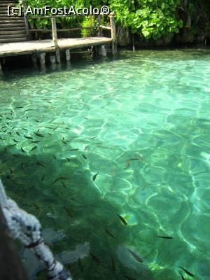 [P06] Apa turcoaz si bancurile de pesti » foto by simplegirl
 - 
<span class="allrVoted glyphicon glyphicon-heart hidden" id="av769295"></span>
<a class="m-l-10 hidden" id="sv769295" onclick="voting_Foto_DelVot(,769295,412)" role="button">șterge vot <span class="glyphicon glyphicon-remove"></span></a>
<a id="v9769295" class=" c-red"  onclick="voting_Foto_SetVot(769295)" role="button"><span class="glyphicon glyphicon-heart-empty"></span> <b>LIKE</b> = Votează poza</a> <img class="hidden"  id="f769295W9" src="/imagini/loader.gif" border="0" /><span class="AjErrMes hidden" id="e769295ErM"></span>