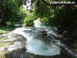 [P36] In ,,gaoacea'' raului Krka!  » foto by Marian Preda
 - 
<span class="allrVoted glyphicon glyphicon-heart hidden" id="av568962"></span>
<a class="m-l-10 hidden" id="sv568962" onclick="voting_Foto_DelVot(,568962,413)" role="button">șterge vot <span class="glyphicon glyphicon-remove"></span></a>
<a id="v9568962" class=" c-red"  onclick="voting_Foto_SetVot(568962)" role="button"><span class="glyphicon glyphicon-heart-empty"></span> <b>LIKE</b> = Votează poza</a> <img class="hidden"  id="f568962W9" src="/imagini/loader.gif" border="0" /><span class="AjErrMes hidden" id="e568962ErM"></span>