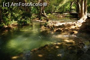 [P03] traseul e în mare parte pe la umbră, prin pădure » foto by Maya_C
 - 
<span class="allrVoted glyphicon glyphicon-heart hidden" id="av722729"></span>
<a class="m-l-10 hidden" id="sv722729" onclick="voting_Foto_DelVot(,722729,413)" role="button">șterge vot <span class="glyphicon glyphicon-remove"></span></a>
<a id="v9722729" class=" c-red"  onclick="voting_Foto_SetVot(722729)" role="button"><span class="glyphicon glyphicon-heart-empty"></span> <b>LIKE</b> = Votează poza</a> <img class="hidden"  id="f722729W9" src="/imagini/loader.gif" border="0" /><span class="AjErrMes hidden" id="e722729ErM"></span>