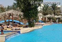 [P10] piscina principala » foto by cristy1200
 - 
<span class="allrVoted glyphicon glyphicon-heart hidden" id="av222504"></span>
<a class="m-l-10 hidden" id="sv222504" onclick="voting_Foto_DelVot(,222504,418)" role="button">șterge vot <span class="glyphicon glyphicon-remove"></span></a>
<a id="v9222504" class=" c-red"  onclick="voting_Foto_SetVot(222504)" role="button"><span class="glyphicon glyphicon-heart-empty"></span> <b>LIKE</b> = Votează poza</a> <img class="hidden"  id="f222504W9" src="/imagini/loader.gif" border="0" /><span class="AjErrMes hidden" id="e222504ErM"></span>