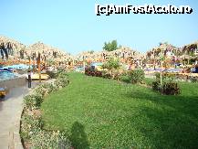 [P01]  -- <small>// FĂRĂ DESCRIERE</small> » foto by monikaM
 - 
<span class="allrVoted glyphicon glyphicon-heart hidden" id="av232113"></span>
<a class="m-l-10 hidden" id="sv232113" onclick="voting_Foto_DelVot(,232113,418)" role="button">șterge vot <span class="glyphicon glyphicon-remove"></span></a>
<a id="v9232113" class=" c-red"  onclick="voting_Foto_SetVot(232113)" role="button"><span class="glyphicon glyphicon-heart-empty"></span> <b>LIKE</b> = Votează poza</a> <img class="hidden"  id="f232113W9" src="/imagini/loader.gif" border="0" /><span class="AjErrMes hidden" id="e232113ErM"></span>