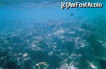 [P01]  -- <small>// FĂRĂ DESCRIERE</small> » foto by elia30
 - 
<span class="allrVoted glyphicon glyphicon-heart hidden" id="av159294"></span>
<a class="m-l-10 hidden" id="sv159294" onclick="voting_Foto_DelVot(,159294,418)" role="button">șterge vot <span class="glyphicon glyphicon-remove"></span></a>
<a id="v9159294" class=" c-red"  onclick="voting_Foto_SetVot(159294)" role="button"><span class="glyphicon glyphicon-heart-empty"></span> <b>LIKE</b> = Votează poza</a> <img class="hidden"  id="f159294W9" src="/imagini/loader.gif" border="0" /><span class="AjErrMes hidden" id="e159294ErM"></span>