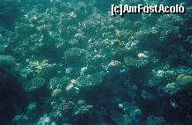 [P11]  -- <small>// FĂRĂ DESCRIERE</small> » foto by elia30
 - 
<span class="allrVoted glyphicon glyphicon-heart hidden" id="av159304"></span>
<a class="m-l-10 hidden" id="sv159304" onclick="voting_Foto_DelVot(,159304,418)" role="button">șterge vot <span class="glyphicon glyphicon-remove"></span></a>
<a id="v9159304" class=" c-red"  onclick="voting_Foto_SetVot(159304)" role="button"><span class="glyphicon glyphicon-heart-empty"></span> <b>LIKE</b> = Votează poza</a> <img class="hidden"  id="f159304W9" src="/imagini/loader.gif" border="0" /><span class="AjErrMes hidden" id="e159304ErM"></span>