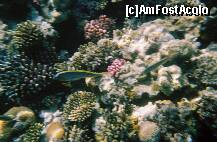 [P14]  -- <small>// FĂRĂ DESCRIERE</small> » foto by elia30
 - 
<span class="allrVoted glyphicon glyphicon-heart hidden" id="av159307"></span>
<a class="m-l-10 hidden" id="sv159307" onclick="voting_Foto_DelVot(,159307,418)" role="button">șterge vot <span class="glyphicon glyphicon-remove"></span></a>
<a id="v9159307" class=" c-red"  onclick="voting_Foto_SetVot(159307)" role="button"><span class="glyphicon glyphicon-heart-empty"></span> <b>LIKE</b> = Votează poza</a> <img class="hidden"  id="f159307W9" src="/imagini/loader.gif" border="0" /><span class="AjErrMes hidden" id="e159307ErM"></span>