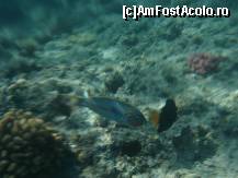 [P23] poze facute cu aparatul in husa! » foto by elia30
 - 
<span class="allrVoted glyphicon glyphicon-heart hidden" id="av159544"></span>
<a class="m-l-10 hidden" id="sv159544" onclick="voting_Foto_DelVot(,159544,418)" role="button">șterge vot <span class="glyphicon glyphicon-remove"></span></a>
<a id="v9159544" class=" c-red"  onclick="voting_Foto_SetVot(159544)" role="button"><span class="glyphicon glyphicon-heart-empty"></span> <b>LIKE</b> = Votează poza</a> <img class="hidden"  id="f159544W9" src="/imagini/loader.gif" border="0" /><span class="AjErrMes hidden" id="e159544ErM"></span>