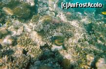 [P04]  -- <small>// FĂRĂ DESCRIERE</small> » foto by elia30
 - 
<span class="allrVoted glyphicon glyphicon-heart hidden" id="av159297"></span>
<a class="m-l-10 hidden" id="sv159297" onclick="voting_Foto_DelVot(,159297,418)" role="button">șterge vot <span class="glyphicon glyphicon-remove"></span></a>
<a id="v9159297" class=" c-red"  onclick="voting_Foto_SetVot(159297)" role="button"><span class="glyphicon glyphicon-heart-empty"></span> <b>LIKE</b> = Votează poza</a> <img class="hidden"  id="f159297W9" src="/imagini/loader.gif" border="0" /><span class="AjErrMes hidden" id="e159297ErM"></span>