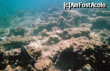 [P05]  -- <small>// FĂRĂ DESCRIERE</small> » foto by elia30
 - 
<span class="allrVoted glyphicon glyphicon-heart hidden" id="av159298"></span>
<a class="m-l-10 hidden" id="sv159298" onclick="voting_Foto_DelVot(,159298,418)" role="button">șterge vot <span class="glyphicon glyphicon-remove"></span></a>
<a id="v9159298" class=" c-red"  onclick="voting_Foto_SetVot(159298)" role="button"><span class="glyphicon glyphicon-heart-empty"></span> <b>LIKE</b> = Votează poza</a> <img class="hidden"  id="f159298W9" src="/imagini/loader.gif" border="0" /><span class="AjErrMes hidden" id="e159298ErM"></span>