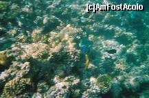 [P06]  -- <small>// FĂRĂ DESCRIERE</small> » foto by elia30
 - 
<span class="allrVoted glyphicon glyphicon-heart hidden" id="av159299"></span>
<a class="m-l-10 hidden" id="sv159299" onclick="voting_Foto_DelVot(,159299,418)" role="button">șterge vot <span class="glyphicon glyphicon-remove"></span></a>
<a id="v9159299" class=" c-red"  onclick="voting_Foto_SetVot(159299)" role="button"><span class="glyphicon glyphicon-heart-empty"></span> <b>LIKE</b> = Votează poza</a> <img class="hidden"  id="f159299W9" src="/imagini/loader.gif" border="0" /><span class="AjErrMes hidden" id="e159299ErM"></span>