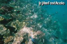 [P07]  -- <small>// FĂRĂ DESCRIERE</small> » foto by elia30
 - 
<span class="allrVoted glyphicon glyphicon-heart hidden" id="av159300"></span>
<a class="m-l-10 hidden" id="sv159300" onclick="voting_Foto_DelVot(,159300,418)" role="button">șterge vot <span class="glyphicon glyphicon-remove"></span></a>
<a id="v9159300" class=" c-red"  onclick="voting_Foto_SetVot(159300)" role="button"><span class="glyphicon glyphicon-heart-empty"></span> <b>LIKE</b> = Votează poza</a> <img class="hidden"  id="f159300W9" src="/imagini/loader.gif" border="0" /><span class="AjErrMes hidden" id="e159300ErM"></span>