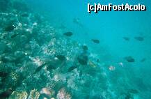 [P08]  -- <small>// FĂRĂ DESCRIERE</small> » foto by elia30
 - 
<span class="allrVoted glyphicon glyphicon-heart hidden" id="av159301"></span>
<a class="m-l-10 hidden" id="sv159301" onclick="voting_Foto_DelVot(,159301,418)" role="button">șterge vot <span class="glyphicon glyphicon-remove"></span></a>
<a id="v9159301" class=" c-red"  onclick="voting_Foto_SetVot(159301)" role="button"><span class="glyphicon glyphicon-heart-empty"></span> <b>LIKE</b> = Votează poza</a> <img class="hidden"  id="f159301W9" src="/imagini/loader.gif" border="0" /><span class="AjErrMes hidden" id="e159301ErM"></span>