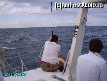 [P36]  -- <small>// FĂRĂ DESCRIERE</small> » foto by mariuscfar
 - 
<span class="allrVoted glyphicon glyphicon-heart hidden" id="av300982"></span>
<a class="m-l-10 hidden" id="sv300982" onclick="voting_Foto_DelVot(,300982,447)" role="button">șterge vot <span class="glyphicon glyphicon-remove"></span></a>
<a id="v9300982" class=" c-red"  onclick="voting_Foto_SetVot(300982)" role="button"><span class="glyphicon glyphicon-heart-empty"></span> <b>LIKE</b> = Votează poza</a> <img class="hidden"  id="f300982W9" src="/imagini/loader.gif" border="0" /><span class="AjErrMes hidden" id="e300982ErM"></span>