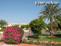 [P23] gradina H.Sonesta Pharaoh Beach Resort » foto by rsimona
 - 
<span class="allrVoted glyphicon glyphicon-heart hidden" id="av212044"></span>
<a class="m-l-10 hidden" id="sv212044" onclick="voting_Foto_DelVot(,212044,458)" role="button">șterge vot <span class="glyphicon glyphicon-remove"></span></a>
<a id="v9212044" class=" c-red"  onclick="voting_Foto_SetVot(212044)" role="button"><span class="glyphicon glyphicon-heart-empty"></span> <b>LIKE</b> = Votează poza</a> <img class="hidden"  id="f212044W9" src="/imagini/loader.gif" border="0" /><span class="AjErrMes hidden" id="e212044ErM"></span>