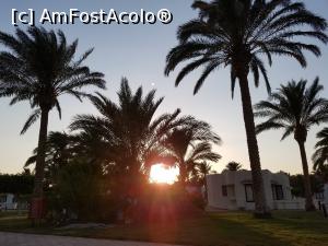 [P07]  -- <small>// FĂRĂ DESCRIERE</small> » foto by dimonty
 - 
<span class="allrVoted glyphicon glyphicon-heart hidden" id="av1083888"></span>
<a class="m-l-10 hidden" id="sv1083888" onclick="voting_Foto_DelVot(,1083888,458)" role="button">șterge vot <span class="glyphicon glyphicon-remove"></span></a>
<a id="v91083888" class=" c-red"  onclick="voting_Foto_SetVot(1083888)" role="button"><span class="glyphicon glyphicon-heart-empty"></span> <b>LIKE</b> = Votează poza</a> <img class="hidden"  id="f1083888W9" src="/imagini/loader.gif" border="0" /><span class="AjErrMes hidden" id="e1083888ErM"></span>