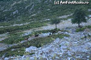 [P56] Kastro - Imaginea nu-mi aparţine.  » foto by iulianic
 - 
<span class="allrVoted glyphicon glyphicon-heart hidden" id="av526777"></span>
<a class="m-l-10 hidden" id="sv526777" onclick="voting_Foto_DelVot(,526777,460)" role="button">șterge vot <span class="glyphicon glyphicon-remove"></span></a>
<a id="v9526777" class=" c-red"  onclick="voting_Foto_SetVot(526777)" role="button"><span class="glyphicon glyphicon-heart-empty"></span> <b>LIKE</b> = Votează poza</a> <img class="hidden"  id="f526777W9" src="/imagini/loader.gif" border="0" /><span class="AjErrMes hidden" id="e526777ErM"></span>