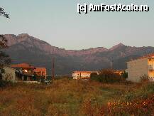 [P31] Ypsarion, cu o culoare ...martiana... » foto by trandafir 1970*
 - 
<span class="allrVoted glyphicon glyphicon-heart hidden" id="av140287"></span>
<a class="m-l-10 hidden" id="sv140287" onclick="voting_Foto_DelVot(,140287,460)" role="button">șterge vot <span class="glyphicon glyphicon-remove"></span></a>
<a id="v9140287" class=" c-red"  onclick="voting_Foto_SetVot(140287)" role="button"><span class="glyphicon glyphicon-heart-empty"></span> <b>LIKE</b> = Votează poza</a> <img class="hidden"  id="f140287W9" src="/imagini/loader.gif" border="0" /><span class="AjErrMes hidden" id="e140287ErM"></span>