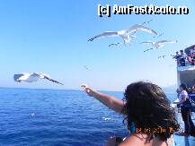 [P35] Ce dor o sa-mi fie de voi! » foto by trandafir 1970*
 - 
<span class="allrVoted glyphicon glyphicon-heart hidden" id="av140291"></span>
<a class="m-l-10 hidden" id="sv140291" onclick="voting_Foto_DelVot(,140291,460)" role="button">șterge vot <span class="glyphicon glyphicon-remove"></span></a>
<a id="v9140291" class=" c-red"  onclick="voting_Foto_SetVot(140291)" role="button"><span class="glyphicon glyphicon-heart-empty"></span> <b>LIKE</b> = Votează poza</a> <img class="hidden"  id="f140291W9" src="/imagini/loader.gif" border="0" /><span class="AjErrMes hidden" id="e140291ErM"></span>