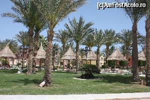 [P20]  -- <small>// FĂRĂ DESCRIERE</small> » foto by claudiu 71
 - 
<span class="allrVoted glyphicon glyphicon-heart hidden" id="av608776"></span>
<a class="m-l-10 hidden" id="sv608776" onclick="voting_Foto_DelVot(,608776,477)" role="button">șterge vot <span class="glyphicon glyphicon-remove"></span></a>
<a id="v9608776" class=" c-red"  onclick="voting_Foto_SetVot(608776)" role="button"><span class="glyphicon glyphicon-heart-empty"></span> <b>LIKE</b> = Votează poza</a> <img class="hidden"  id="f608776W9" src="/imagini/loader.gif" border="0" /><span class="AjErrMes hidden" id="e608776ErM"></span>