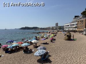 [P24] Plaja Lloret » foto by AZE
 - 
<span class="allrVoted glyphicon glyphicon-heart hidden" id="av1547503"></span>
<a class="m-l-10 hidden" id="sv1547503" onclick="voting_Foto_DelVot(,1547503,479)" role="button">șterge vot <span class="glyphicon glyphicon-remove"></span></a>
<a id="v91547503" class=" c-red"  onclick="voting_Foto_SetVot(1547503)" role="button"><span class="glyphicon glyphicon-heart-empty"></span> <b>LIKE</b> = Votează poza</a> <img class="hidden"  id="f1547503W9" src="/imagini/loader.gif" border="0" /><span class="AjErrMes hidden" id="e1547503ErM"></span>