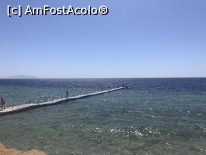 [P22] O vacanţă de relaxare - pontonul nostru » foto by nicole33
 - 
<span class="allrVoted glyphicon glyphicon-heart hidden" id="av1091176"></span>
<a class="m-l-10 hidden" id="sv1091176" onclick="voting_Foto_DelVot(,1091176,48)" role="button">șterge vot <span class="glyphicon glyphicon-remove"></span></a>
<a id="v91091176" class=" c-red"  onclick="voting_Foto_SetVot(1091176)" role="button"><span class="glyphicon glyphicon-heart-empty"></span> <b>LIKE</b> = Votează poza</a> <img class="hidden"  id="f1091176W9" src="/imagini/loader.gif" border="0" /><span class="AjErrMes hidden" id="e1091176ErM"></span>