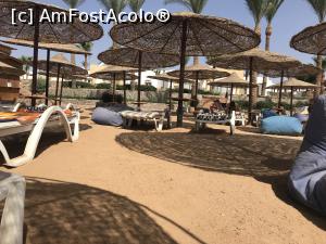 [P24] O vacanţă de relaxare - terasa pe care făceam noi plajă » foto by nicole33
 - 
<span class="allrVoted glyphicon glyphicon-heart hidden" id="av1091178"></span>
<a class="m-l-10 hidden" id="sv1091178" onclick="voting_Foto_DelVot(,1091178,48)" role="button">șterge vot <span class="glyphicon glyphicon-remove"></span></a>
<a id="v91091178" class=" c-red"  onclick="voting_Foto_SetVot(1091178)" role="button"><span class="glyphicon glyphicon-heart-empty"></span> <b>LIKE</b> = Votează poza</a> <img class="hidden"  id="f1091178W9" src="/imagini/loader.gif" border="0" /><span class="AjErrMes hidden" id="e1091178ErM"></span>