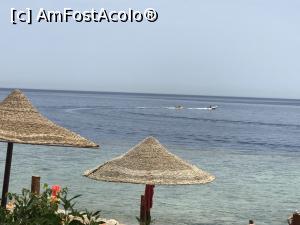 [P25] O vacanţă de relaxare - marea » foto by nicole33
 - 
<span class="allrVoted glyphicon glyphicon-heart hidden" id="av1091179"></span>
<a class="m-l-10 hidden" id="sv1091179" onclick="voting_Foto_DelVot(,1091179,48)" role="button">șterge vot <span class="glyphicon glyphicon-remove"></span></a>
<a id="v91091179" class=" c-red"  onclick="voting_Foto_SetVot(1091179)" role="button"><span class="glyphicon glyphicon-heart-empty"></span> <b>LIKE</b> = Votează poza</a> <img class="hidden"  id="f1091179W9" src="/imagini/loader.gif" border="0" /><span class="AjErrMes hidden" id="e1091179ErM"></span>
