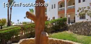 [P31] O vacanţă de relaxare - duş la piscină » foto by nicole33
 - 
<span class="allrVoted glyphicon glyphicon-heart hidden" id="av1091185"></span>
<a class="m-l-10 hidden" id="sv1091185" onclick="voting_Foto_DelVot(,1091185,48)" role="button">șterge vot <span class="glyphicon glyphicon-remove"></span></a>
<a id="v91091185" class=" c-red"  onclick="voting_Foto_SetVot(1091185)" role="button"><span class="glyphicon glyphicon-heart-empty"></span> <b>LIKE</b> = Votează poza</a> <img class="hidden"  id="f1091185W9" src="/imagini/loader.gif" border="0" /><span class="AjErrMes hidden" id="e1091185ErM"></span>