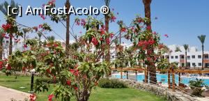 [P35] O vacanţă de relaxare - prin resort » foto by nicole33
 - 
<span class="allrVoted glyphicon glyphicon-heart hidden" id="av1091189"></span>
<a class="m-l-10 hidden" id="sv1091189" onclick="voting_Foto_DelVot(,1091189,48)" role="button">șterge vot <span class="glyphicon glyphicon-remove"></span></a>
<a id="v91091189" class=" c-red"  onclick="voting_Foto_SetVot(1091189)" role="button"><span class="glyphicon glyphicon-heart-empty"></span> <b>LIKE</b> = Votează poza</a> <img class="hidden"  id="f1091189W9" src="/imagini/loader.gif" border="0" /><span class="AjErrMes hidden" id="e1091189ErM"></span>