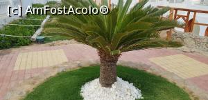 [P37] O vacanţă de relaxare - prin resort » foto by nicole33
 - 
<span class="allrVoted glyphicon glyphicon-heart hidden" id="av1091191"></span>
<a class="m-l-10 hidden" id="sv1091191" onclick="voting_Foto_DelVot(,1091191,48)" role="button">șterge vot <span class="glyphicon glyphicon-remove"></span></a>
<a id="v91091191" class=" c-red"  onclick="voting_Foto_SetVot(1091191)" role="button"><span class="glyphicon glyphicon-heart-empty"></span> <b>LIKE</b> = Votează poza</a> <img class="hidden"  id="f1091191W9" src="/imagini/loader.gif" border="0" /><span class="AjErrMes hidden" id="e1091191ErM"></span>